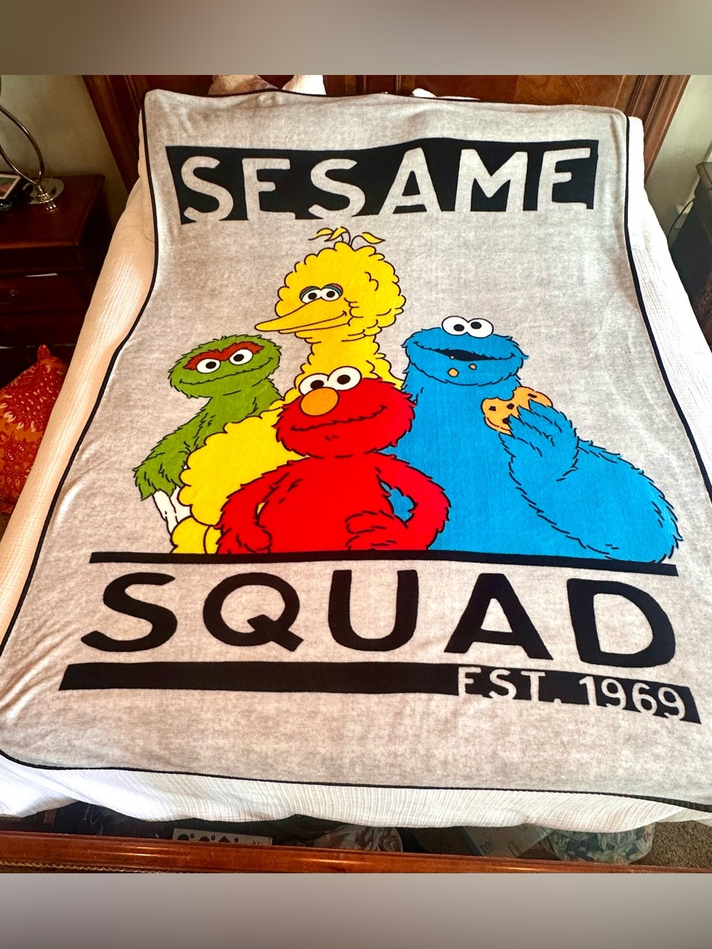 Sesame Street "Sesame Squad" Plush Elmo/Big Bird/Cookie Monster/Oscar Blanket.